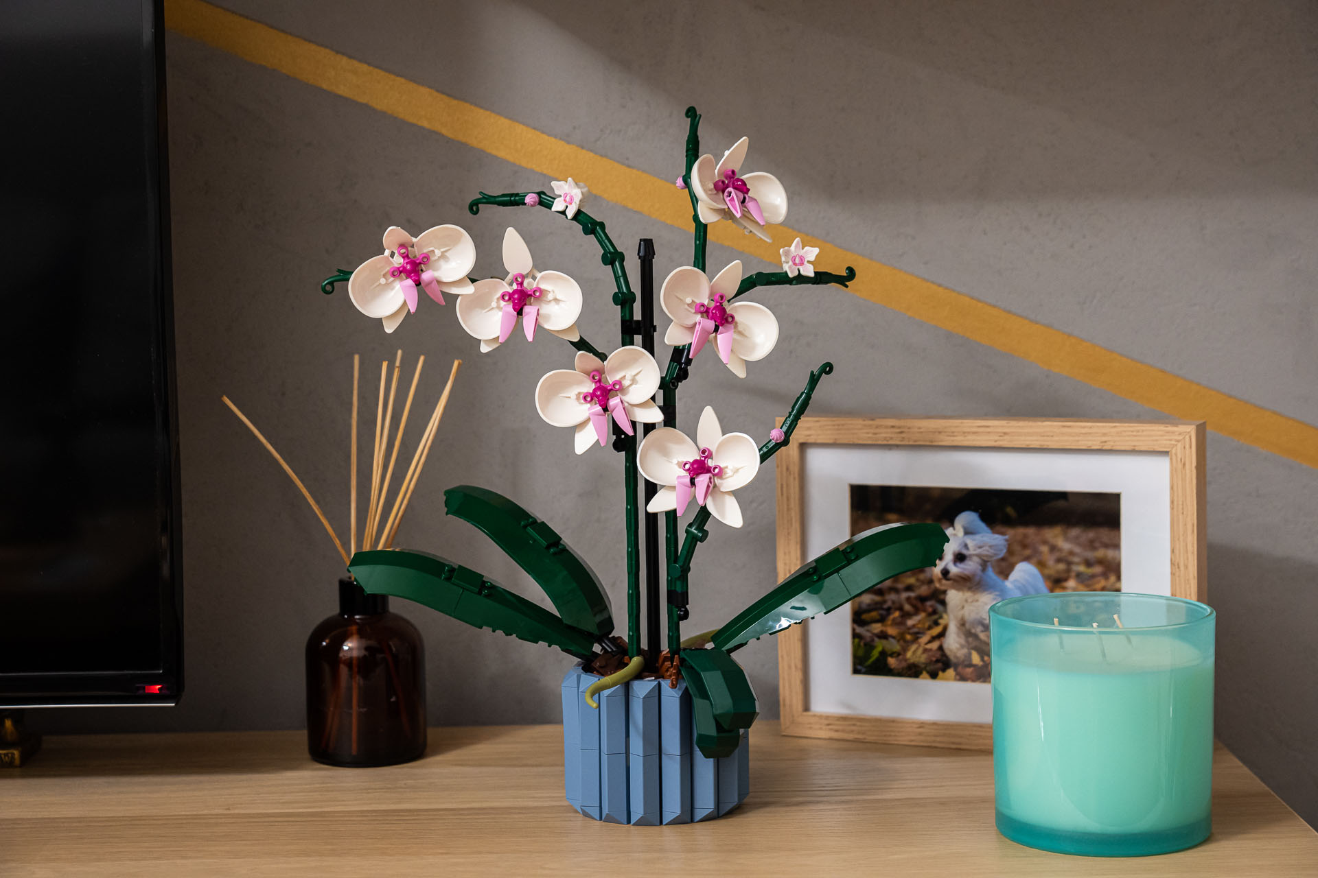 Set LEGO di Orchidee: MINI PREZZO per il bouquet SPECIALE da regalare a SAN  VALENTINO - Melablog