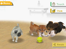 Nintendogs, simulatore senza rischi Nintendogs, simulatore senza rischi