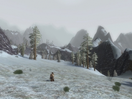 The Lord of the Rings Online in beta testing