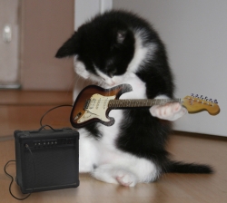 Guitar Hero avrà strumenti aggiuntivi dal 2008?