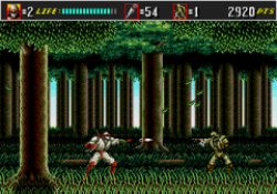 Shinobi III e Landstalker presto su Virtual Console