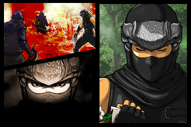 Ninja Gaiden Dragon Sword arriva a giugno