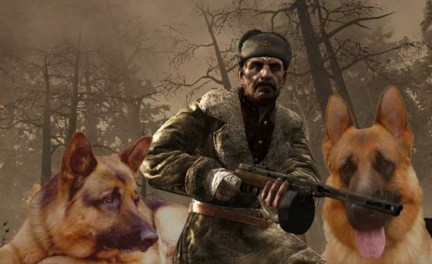 Call of Duty: World at War - nuove considerazioni sulla beta