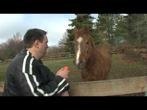 Chris Taylor's Kings and Castles | Video Blog Episode #1