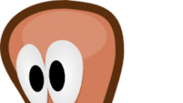 Team17 annuncia un nuovo Worms in 2D