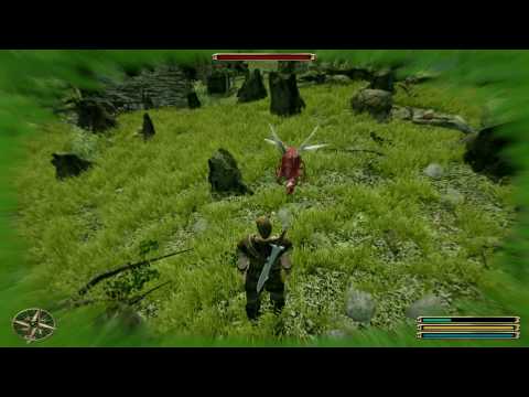 Gothic 3 Community Patch 1.74 - Feedback shader