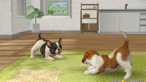 Nintendogs + Cats (3DS): nuove immagini