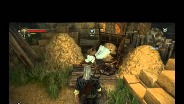 The Witcher 2: Assassins of Kings - una easter egg dedicata ad Assassin's Creed