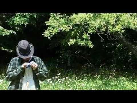 Guy plays the soundtrack to Ocarina of Time, with the Ocarina of Time.
