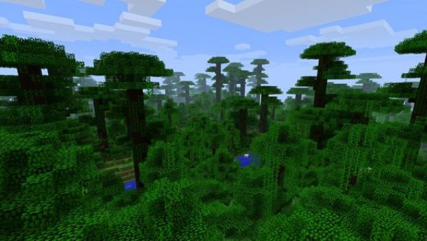 Minecraft patch 1.2 beta: nuovo bioma giungla e la possibilità di allevare lupi