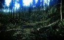 CryEngine 3: nuova demo tecnica sull'evoluzione della fisica soft-body