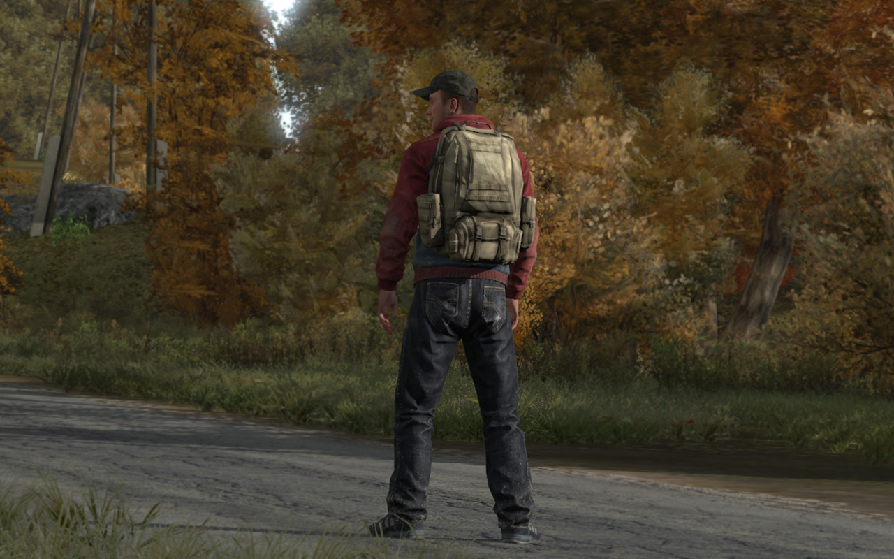 DayZ: Dean Hall pensa alla PS4, ma non prima del rilascio della alpha su PC