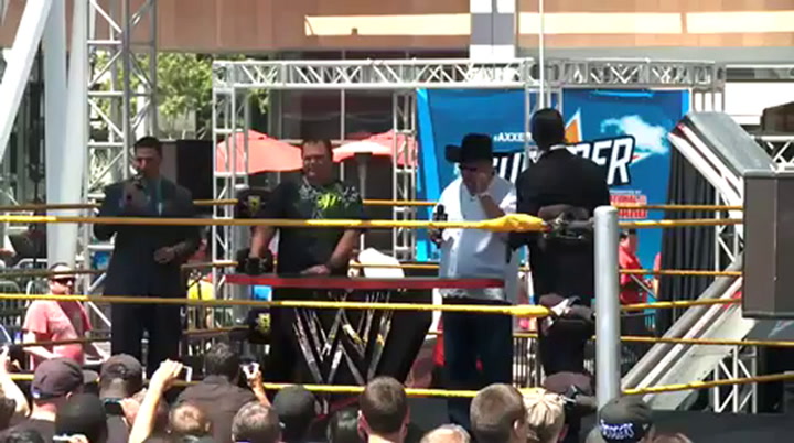 WWE 2K14 il roster della modalitÃ  30 Years of Wrestlemania