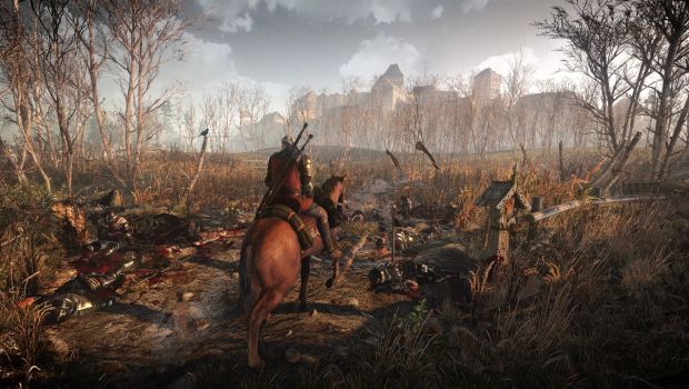 The Witcher 3: Wild Hunt - tris di scatti sulla varietà delle ambientazioni