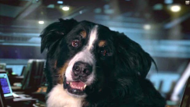 Star Citizen: confermati gli animali domestici