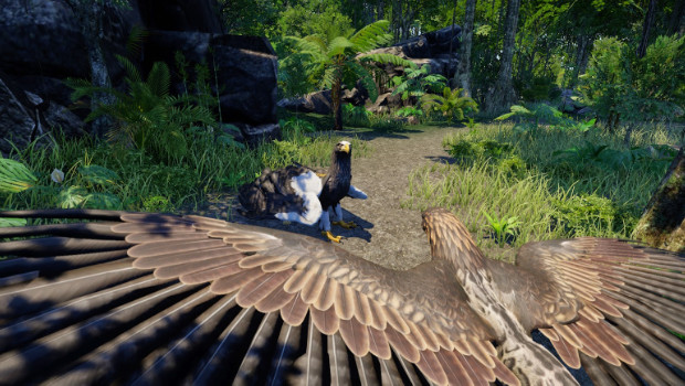 Wander: creature e ambientazioni in un nuovo video di gioco