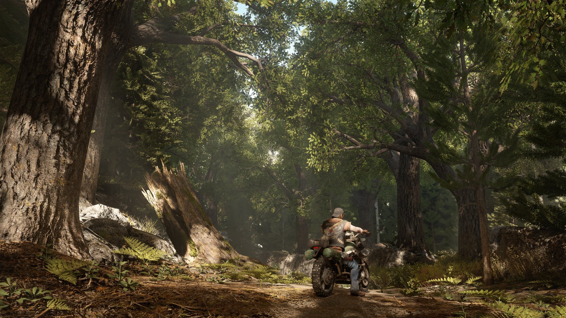 Days Gone: tris di scatti dalla versione PS4 Pro